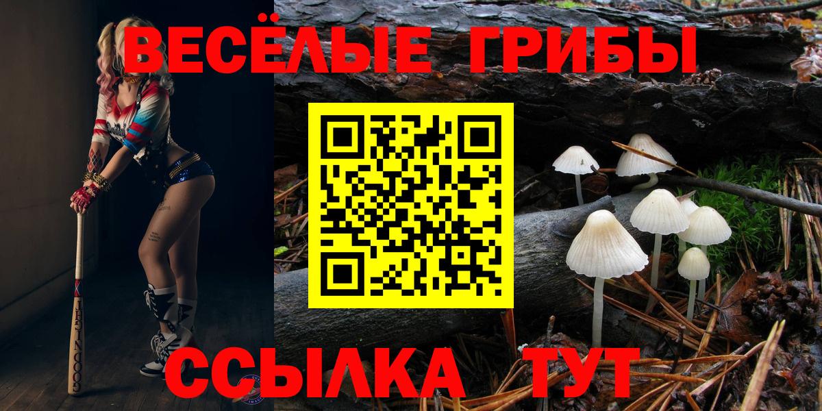 Галлюциногенные грибы ЛСД  Вход с VPN  Псилоцибиновые грибы прущие грибы  Малоярославец 